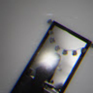 Meet your Posher, Ivana